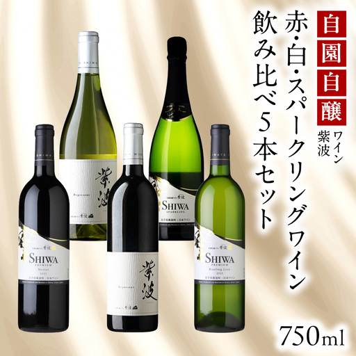自園自醸ワイン紫波 赤・白・スパークリングワイン 飲み比べ 5本セット