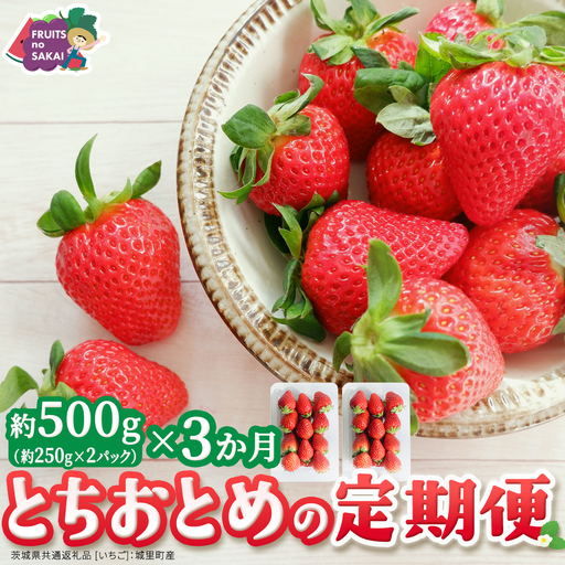 [定期便]とちおとめ 約250g(15〜18粒)×2パック 3ヶ月連続お届け便[2026年12月から発送開始](茨城県共通返礼品 [いちご]:城里町産)