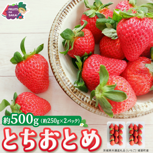とちおとめ 約250g(15〜18粒)×2パック[2026年12月から発送開始](茨城県共通返礼品 [いちご]:城里町産)