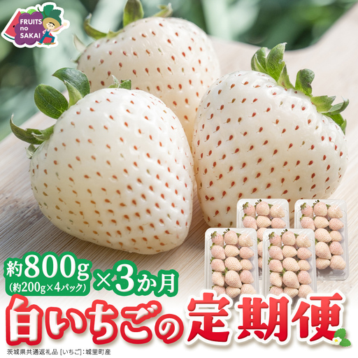 【定期便】白いちご 約200g×4パック 3ヶ月連続お届け便【2027年1月から発送開始】（茨城県共通返礼品 [いちご]：城里町産）
