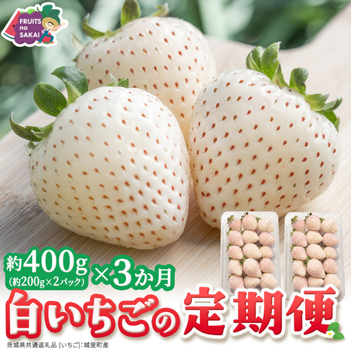 [定期便]白いちご 約200g×2パック 3ヶ月連続お届け便[2027年1月から発送開始](茨城県共通返礼品 [いちご]:城里町産)