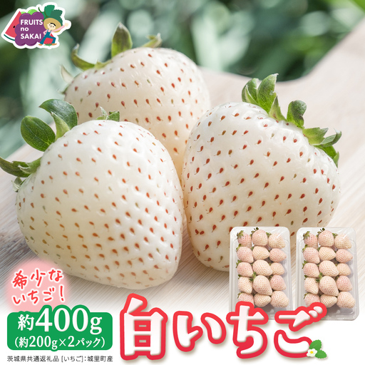 白いちご 約200g(15〜18粒)×2パック[2027年1月から発送開始](茨城県共通返礼品 [いちご]:城里町産)