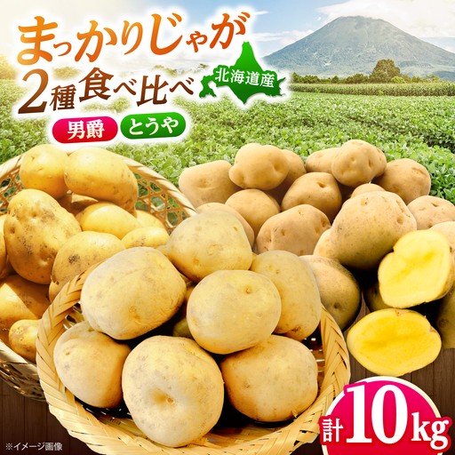 じゃがいも 食べ比べセット （男爵・とうや）計10kg  [BPAM099] じゃがいも