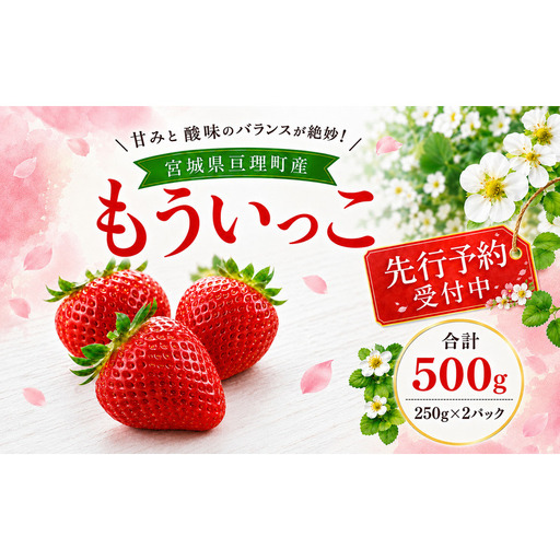 いちご イチゴ 苺 先行予約 1月発送 家庭用 もういっこ 宮城県亘理町産 500g 250g×2パック 小分け 冷蔵配送 国産 フルーツ 返礼品