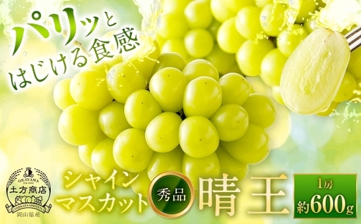 シャインマスカット 晴王 秀品 1房 約600g ぶどう ブドウ 葡萄 マスカット 果物 くだもの フルーツ 果実 種なし 皮ごと 国産 岡山県産 冷蔵 [ 2026年9月上旬から10月下旬迄発送 ]
