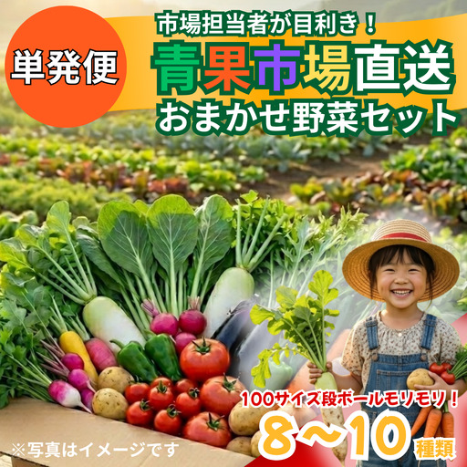 野菜 市場直送 おまかせ野菜セット