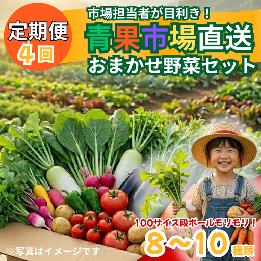野菜 定期便 市場直送 おまかせ野菜セット