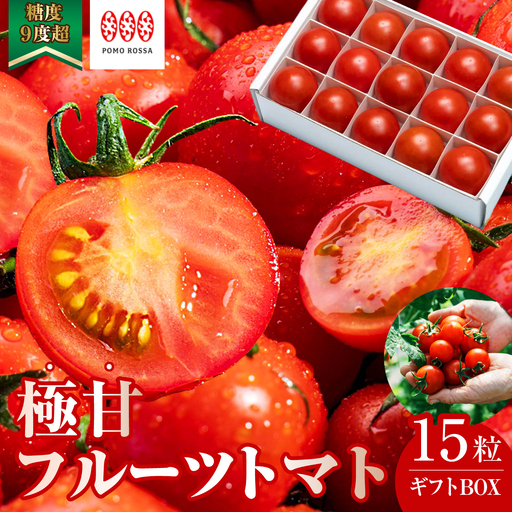 [12月から順次発送予定]フルーツトマト 糖度9度〜11度 15粒 化粧箱入り ポモ・ロッサ 先行予約