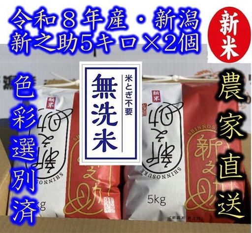 【令和8年産新米】整粒率95％の1等米！！ 阿賀野市産「新之助」無洗米 10kg（5kg×2袋） 中島農場 精米 新潟県 米 こめ コメ お米 ごはん ご飯 農家直送 色彩選別済 新米 新米予約 令和8年産 9月下旬より順次発送 3R13034