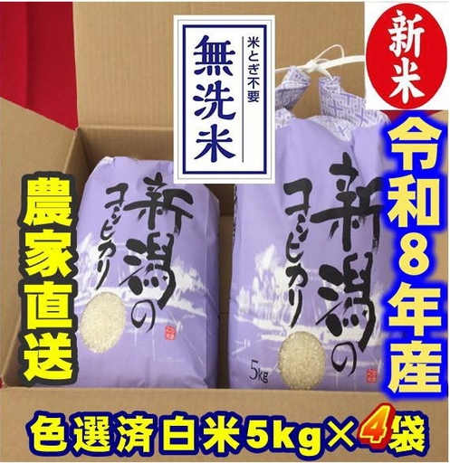【令和8年産新米】 新潟県産 「従来こしひかり」 無洗米 20kg（5kg×4袋） 阿賀野市産 中島農場 精米 新潟県 米 こめ コメ お米 ごはん ご飯 農家直送 色彩選別済 新米 令和8年産  3R22062