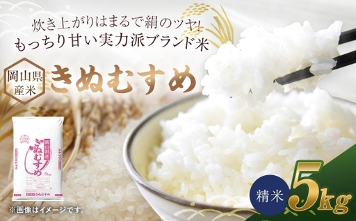 【 令和8年産 】 岡山県産米 きぬむすめ 5kg × 1袋 お米 米 こめ コメ 白米 精米 白飯 飯 ご飯 おにぎり 和食 国産 ブランド米 ブランド 【 2026年10月上旬から2027年8月下旬迄発送予定 】