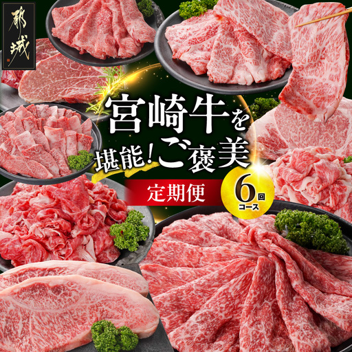 [6回定期便]宮崎牛を堪能「ご褒美」定期便〔TAI6-6-N4-014〕_(都城市)