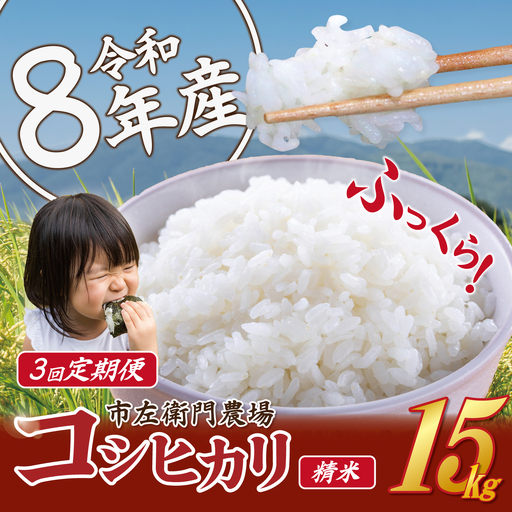 【 3ヵ月 定期便 】 米 令和8年産 コシヒカリ 15kg 精米 こしひかり