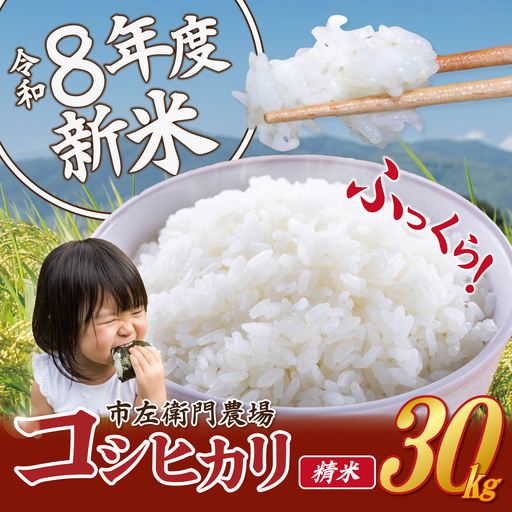 米 令和8年産 コシヒカリ 30kg 精米 こしひかり