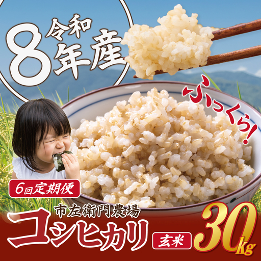 【 6ヵ月 定期便 】米 令和8年産 コシヒカリ30kg 玄米 こしひかり