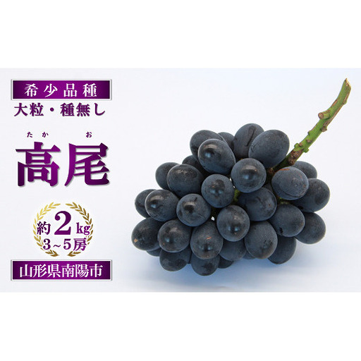 [令和9年産先行予約] 希少品種の黒系ぶどう 「高尾」 約2kg (3〜5房 秀) [令和9年9月頃〜発送] 『南陽中央青果市場』果物 フルーツ デザート 山形県 南陽市 [1043-R9]
