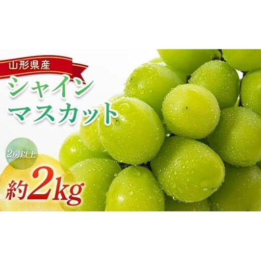 [令和9年産先行予約] シャインマスカット 約2kg (2房以上) [令和9年9月頃〜発送] 『南陽中央青果市場』 マスカット ぶどう 果物 フルーツ デザート 山形県 南陽市 [1205-R9]