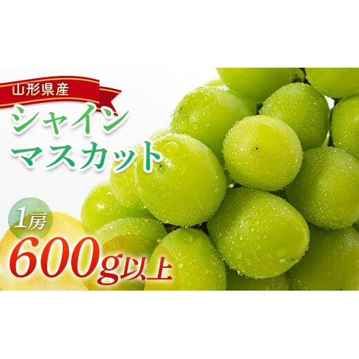 [令和9年産先行予約] シャインマスカット 600g以上 (1房 秀) [令和9年9月頃〜発送] 『南陽中央青果市場』 マスカット ぶどう 果物 フルーツ デザート 山形県 南陽市 [1206-R9]