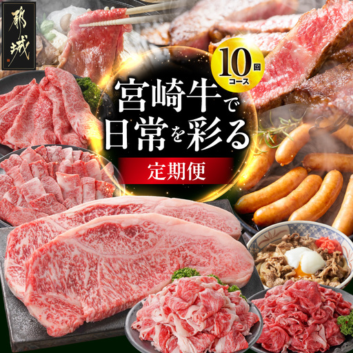 [10回定期便]宮崎牛で日常を彩る定期便〔T230-10-N4-016〕_(都城市)