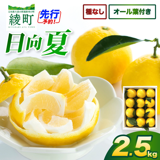 [先行受付]初春の旬「日向夏」種なし(オール葉付き)2.5kg 果物 フルーツ くだもの 柑橘 フルーツサンド おやつ スイーツ デザート ジャム おすすめ ギフト 贈り物 贈答 プレゼント おすそ分け お返し 宮崎県 綾町 送料無料[JA綾町]