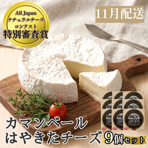 [2026年11月配送] [ご自宅用] カマンベールはやきた 9個セット