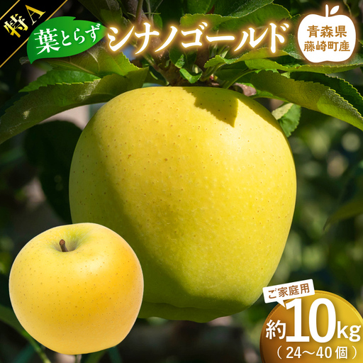 [先行予約]シナノゴールド 特Aご家庭用 約10kg(24〜40個)[グランドアップル] 青森りんご 林檎 リンゴ 葉取らずりんご 発祥の地 果物 フルーツ 青森県産 藤崎町 おすすめ