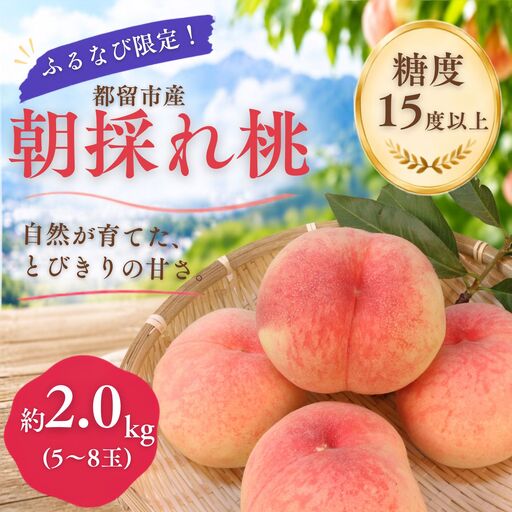 [ふるなび限定!][2027年先行予約]糖度15度以上 都留市産 朝採れ桃 約2.0kg(5〜8玉)