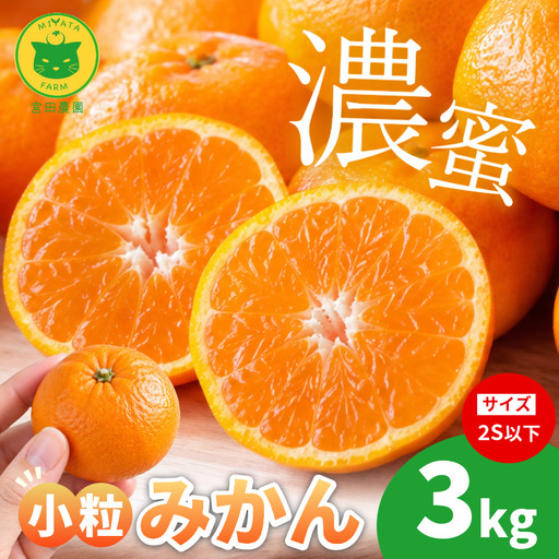 [2026年11月10日から発送]甘さ凝縮!濃蜜小粒 みかん 3kg 2S以下 小玉 小松島市