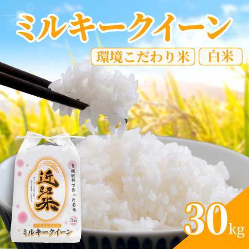 [ 令和8年産 ] 新米 ミルキークイーン 30kg 白米 米 R8 年産 みるきーくいーん 2026年産 国産 農家直送 環境こだわり お試し用 単品 小分け 単品 お米 こめ おこめ ライス コメ 精米 おいしい 産地直送 人気 おすすめ 30キロ kome okome 2026年 送料無料 滋賀県 日野町 育農舎 [IN004_R8]