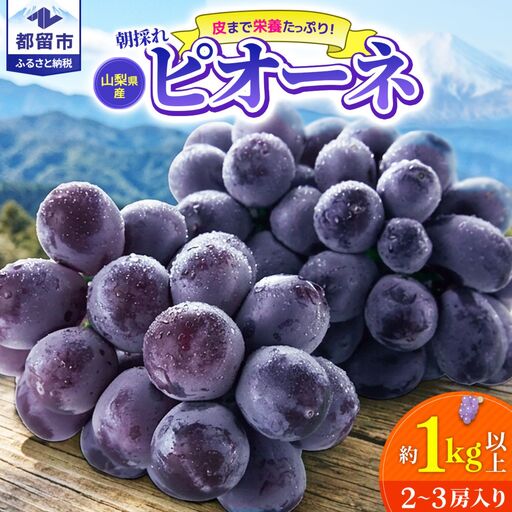 [2027年 先行予約] 山梨県 都留市産 ピオーネ ぶどう ブドウ