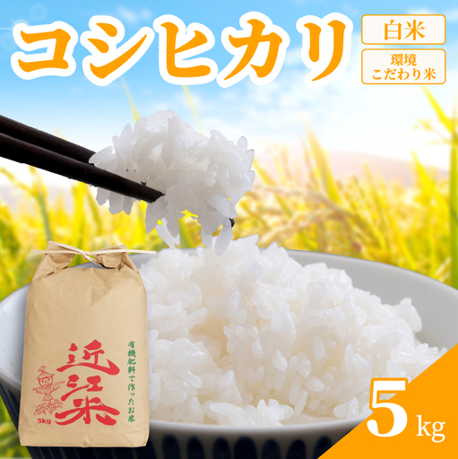 [ 令和8年産 ] コシヒカリ 5kg 白米 米 R8 年産 こしひかり 2026年産 国産 農家直送 環境こだわり お試し用 単品 小分け 単品 お米 こめ おこめ ライス コメ 精米 おいしい 産地直送 人気 おすすめ 5キロ kome okome 2026年 送料無料 滋賀県 日野町 育農舎 [IN010_R8]