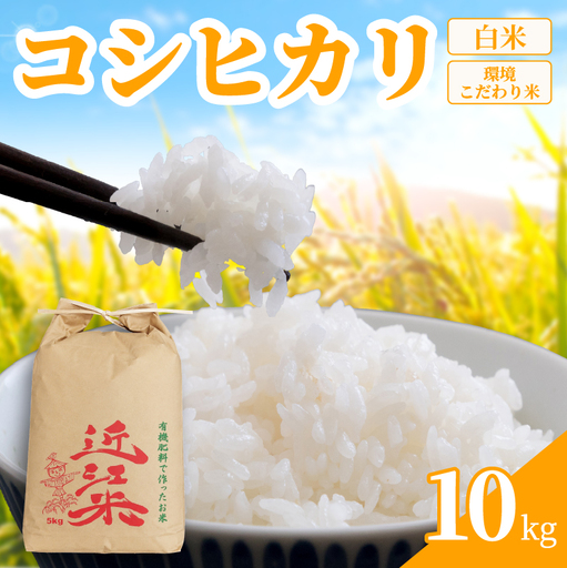 [ 令和8年産 ] 新米 コシヒカリ 10kg 白米 米 R8 年産 こしひかり 2026年産 国産 農家直送 環境こだわり お試し用 単品 小分け 単品 お米 こめ おこめ ライス コメ 精米 おいしい 産地直送 人気 おすすめ 10キロ kome okome 2026年 送料無料 滋賀県 日野町 育農舎 [IN011_R8]
