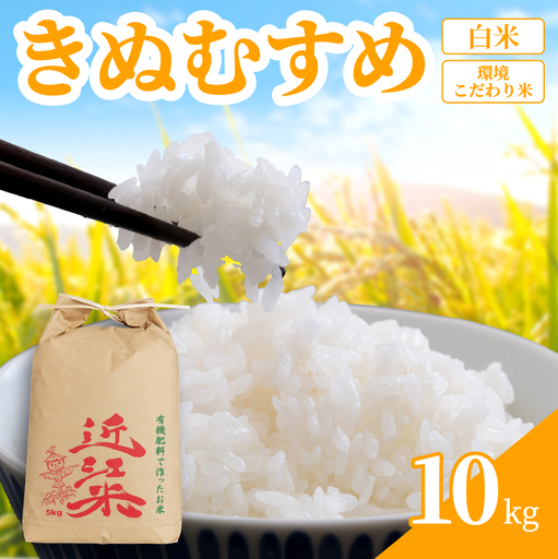 [先行予約]令和8年産 日野町産 きぬむすめ 精米10kg [IN051_R8]