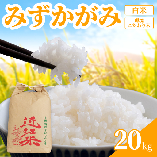 [ 令和8年産 ] 新米 みずかがみ 20kg 白米 米 R8 年産 ミズカガミ 2026年産 国産 農家直送 環境こだわり お試し用 単品 小分け 単品 お米 こめ おこめ ライス コメ 精米 おいしい 産地直送 人気 おすすめ 20キロ kome okome 2026年 送料無料 滋賀県 日野町 育農舎 [IN062_R8]