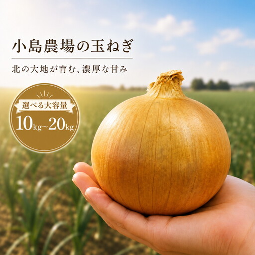 [10月発送]玉ねぎ 小島農場 10kg 美幌町産(2026年10月以降順次発送) AW005_a | 玉ねぎ