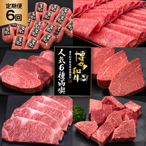 肉 博多和牛 人気6種 満喫 6回 定期便 牛肉