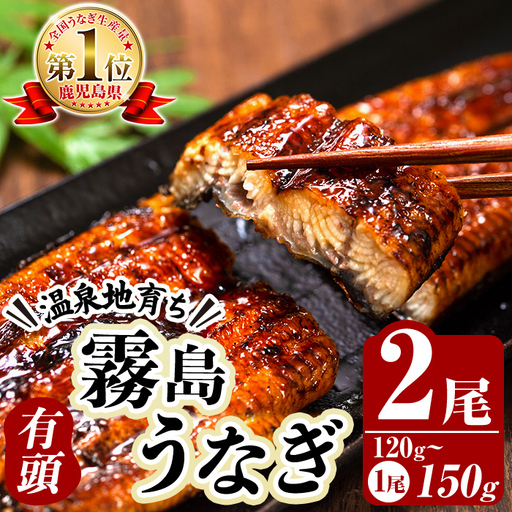 K-763 霧島うなぎ蒲焼き120～150g×2尾【田代水産】霧島市 鰻 ウナギ 蒲焼き 蒲焼 国産