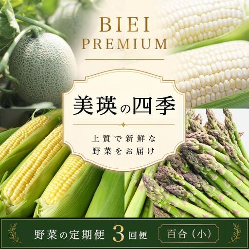 野菜 定期便 3回 [令和9年産予約受付] 美瑛の四季 百合(小)野菜 セット