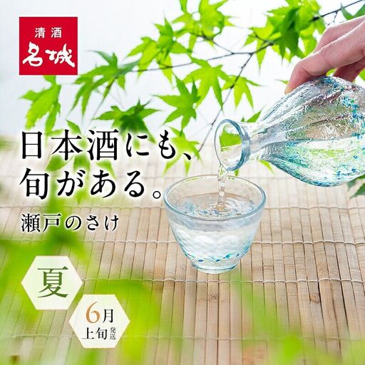 名城酒造　夏のさけセット　6月上旬発送
