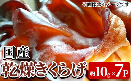 国産乾燥きくらげ(約10g×7P・計約70g) 国産 阿久根市産 きくらげ 木耳 キクラゲ 乾燥きくらげ 食物繊維 ビタミンD [竹ん子山]akn097-19