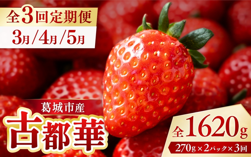 【全3回定期便】葛城市産古都華　270g×2パックを5か月連続でお届け！3月/4月/5月【ichi-tkb0002】