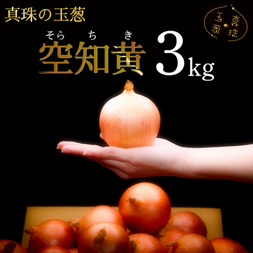 真珠の玉葱 空知黄 3kg [海のミネラルで育てた幻の玉葱 空知黄][a134-010]