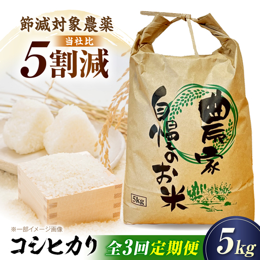 [全3回定期便]コシヒカリ 5kg 滋賀県長浜市/狩野農園[AQDK005]