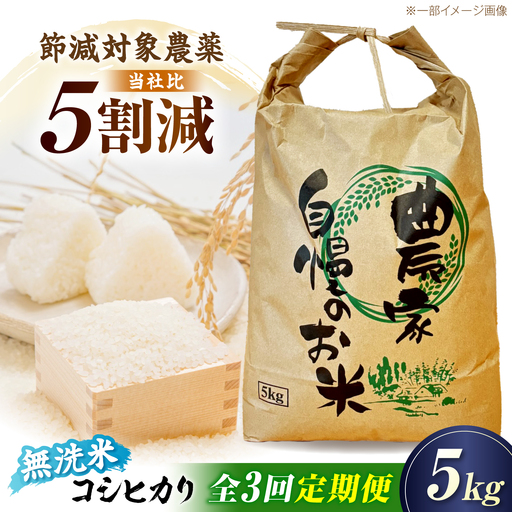 [令和8年産][3ヶ月5kg定期便]無洗米 コシヒカリ[AQDK007] 無洗