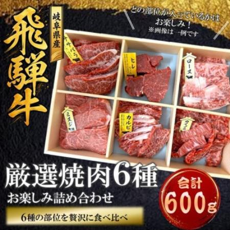 飛騨牛厳選焼肉6種詰め合わせ計600g[配送不可地域:離島]