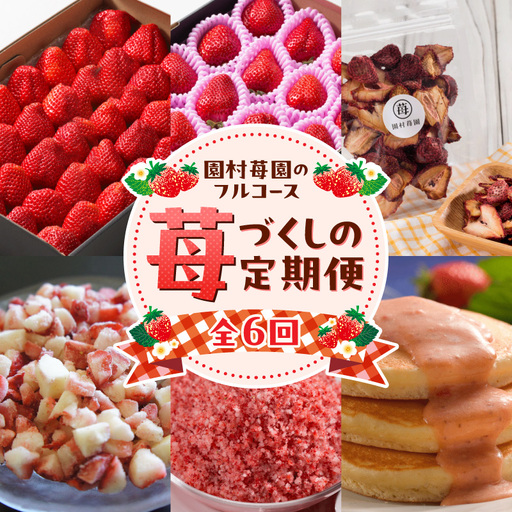 [定期便6回]園村苺園フルコース_U74-T020_6