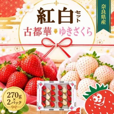 [古都華 × ゆきざくら]紅白いちごセット 2パック(8〜15粒入り/1pc)[配送不可地域:離島・北海道・沖縄県・東北]