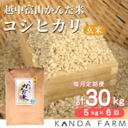 [毎月定期便]鮮度の米 かんだ米『コシヒカリ』 玄米 5kg×1袋全6回