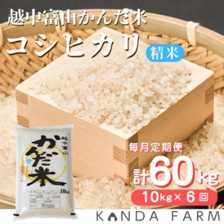 【毎月定期便】かんだ米『コシヒカリ』　精米　10kg×1袋全6回【4092392】