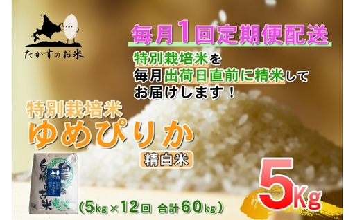 【 12回定期便 】 ゆめぴりか （ 精白米 ） 約5kg （ 約5kg × 1袋 ） 米 白米 精米 ブランド米 ごはん 鷹栖町産 国産 定期便 定期配送 【 2026年10月上旬発送開始予定 】 